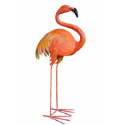 Grand oiseau colore (2) — MD16221
