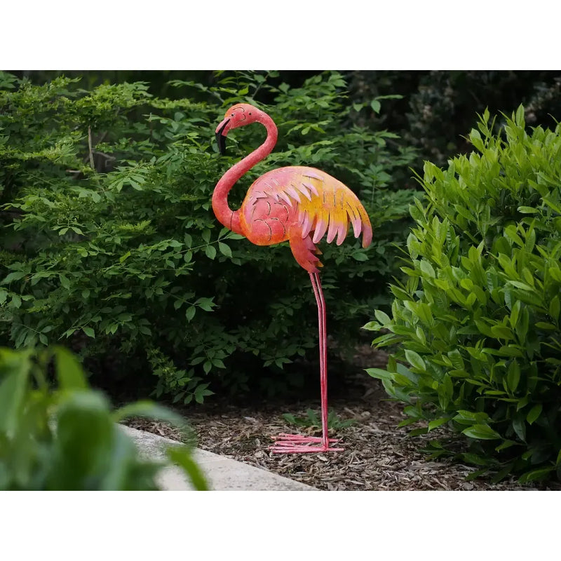 Grand oiseau colore (2) — MD16221