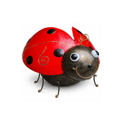 Grand coccinelle (4) — MD16228