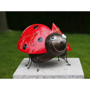 Grand coccinelle (4) — MD16228