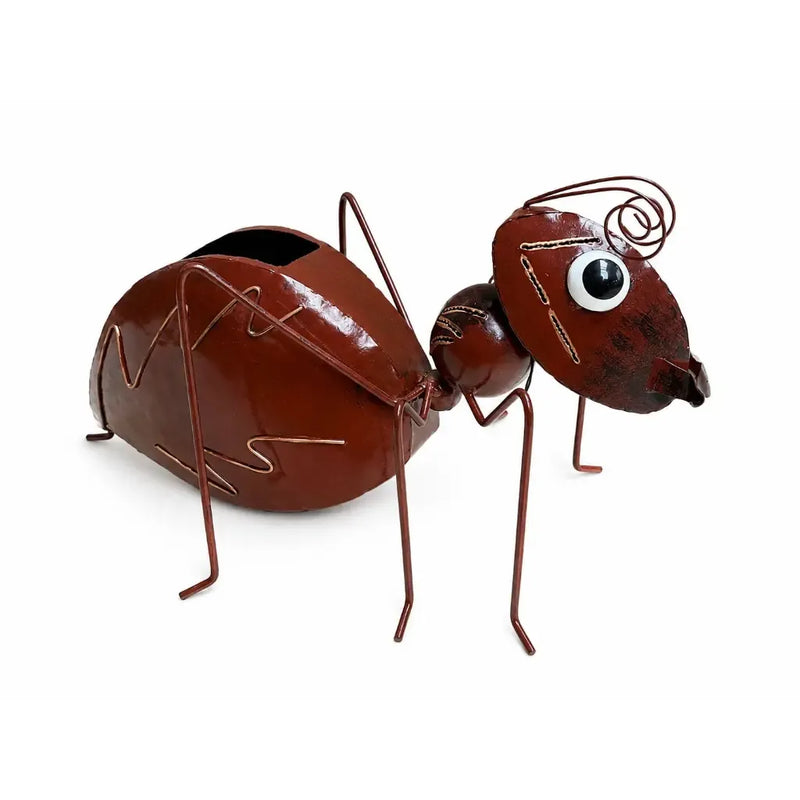 Fourmi Brune (2) — MD16253