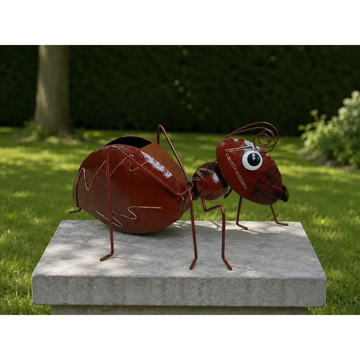Fourmi Brune (2) — MD16253