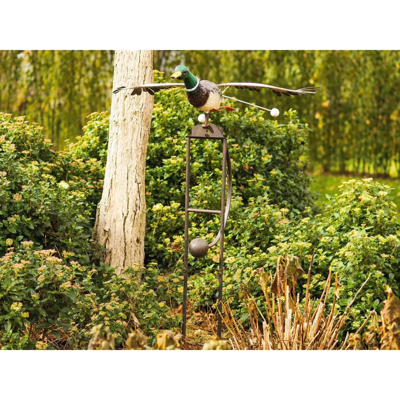 Medium Canard Volant (1) — MD17138