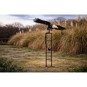 Geant Aigle Volant (1) — MD17506