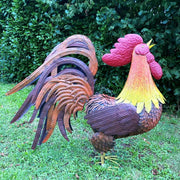 Coq Géant (1) — MD17507