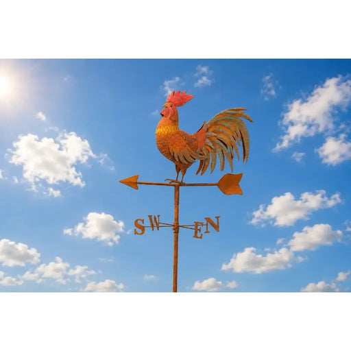 Girouette Coq (4) — MD17573