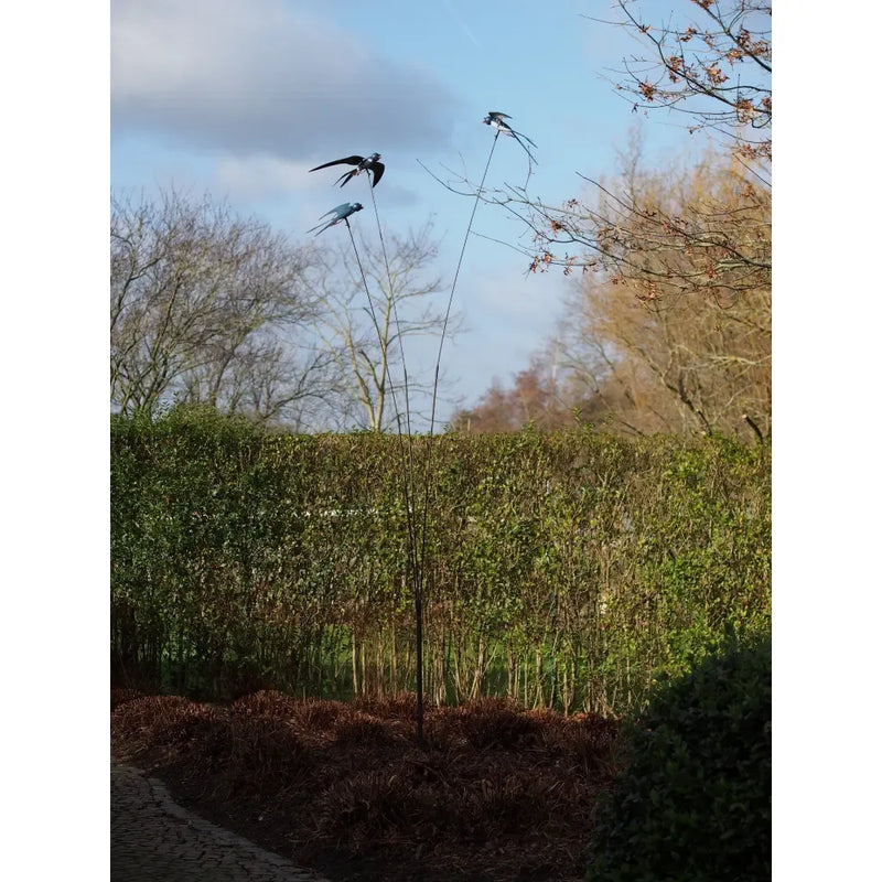 Balancier Oiseaux (1) — MD17923