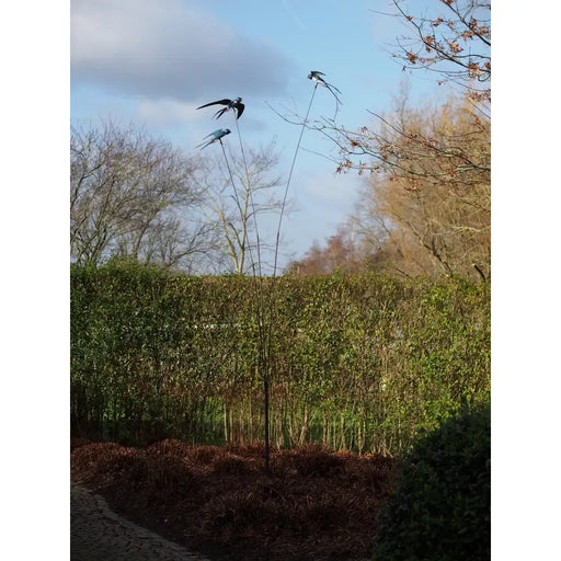 Balancier Oiseaux (1) — MD17923