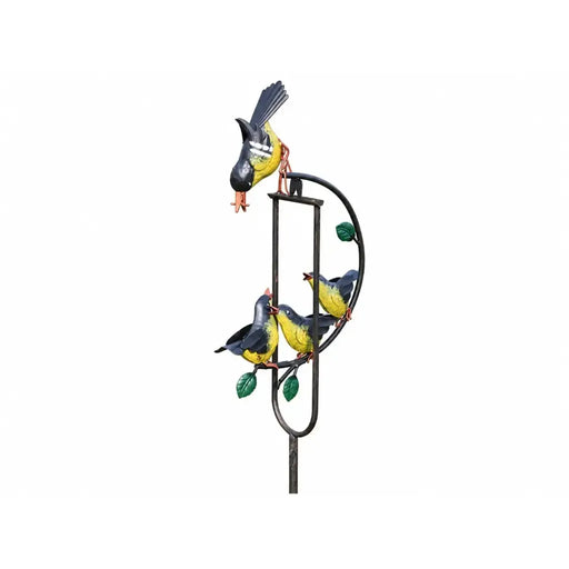 Oiseaux Balancier (6) — MD17974
