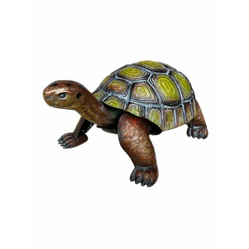 Tortue (4) — MD18001