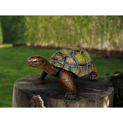 Tortue (4) — MD18001