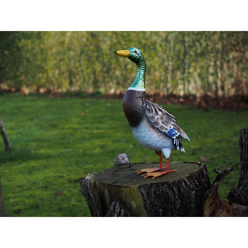 Canard (6) — MD18247