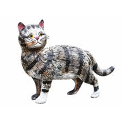 Chat (6) — MD18306