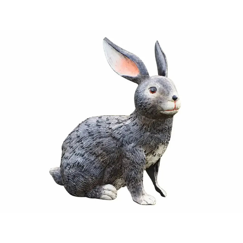 Lapin (6) — MD18534