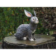 Lapin (6) — MD18534