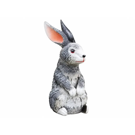 Lapin (6) — MD18636