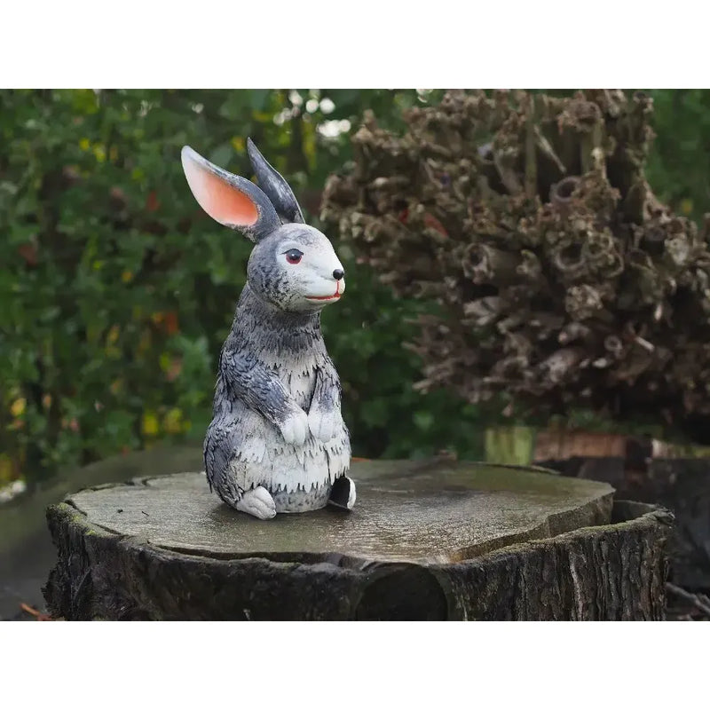 Lapin (6) — MD18636