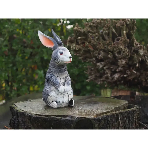 Lapin (6) — MD18636