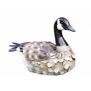 Canard Assise (6) — MD18911