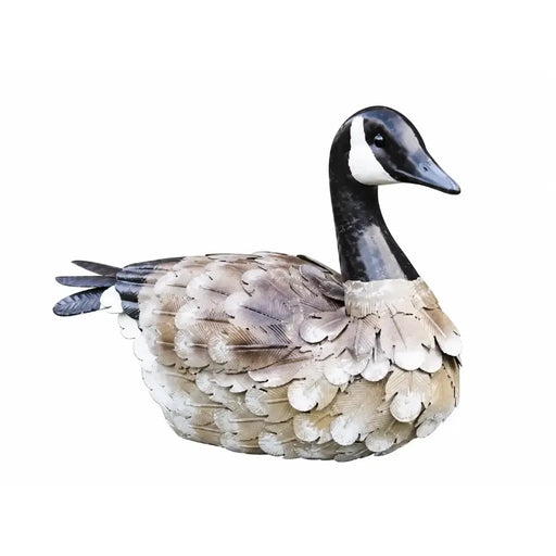 Canard Assise (6) — MD18911