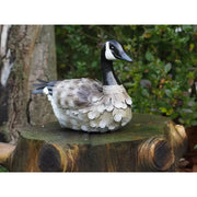 Canard Assise (6) — MD18911