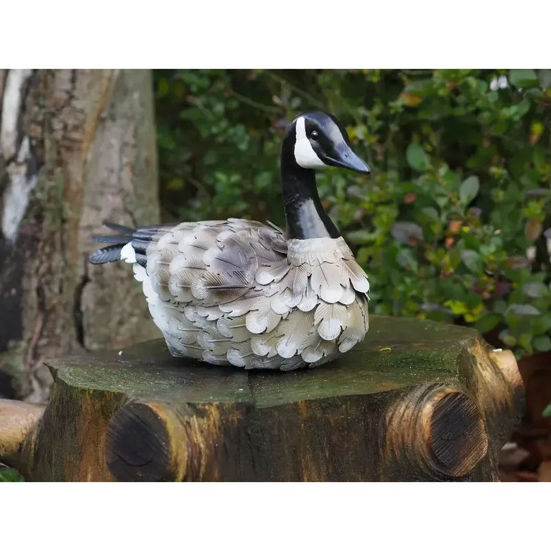 Canard Assise (6) — MD18911