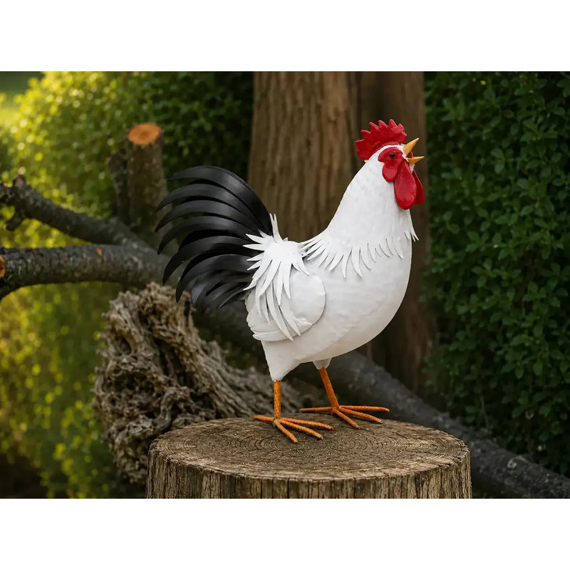 Coq (2) — MD19156