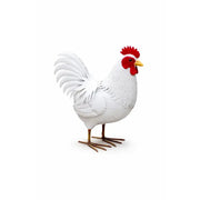 Poule (4) — MD19157