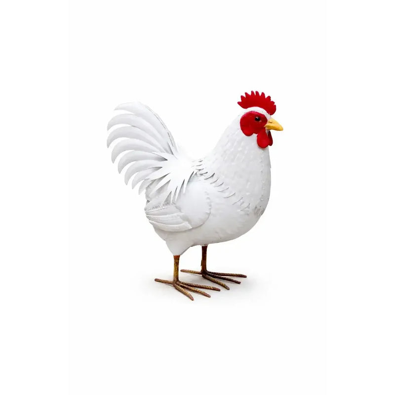 Poule (4) — MD19157