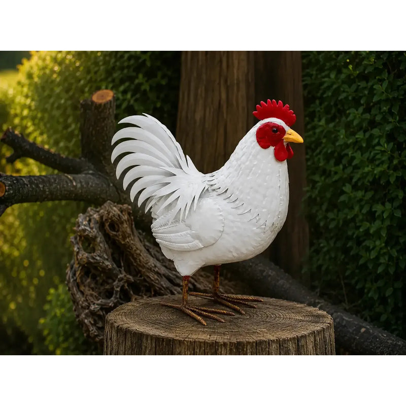 Poule (4) — MD19157