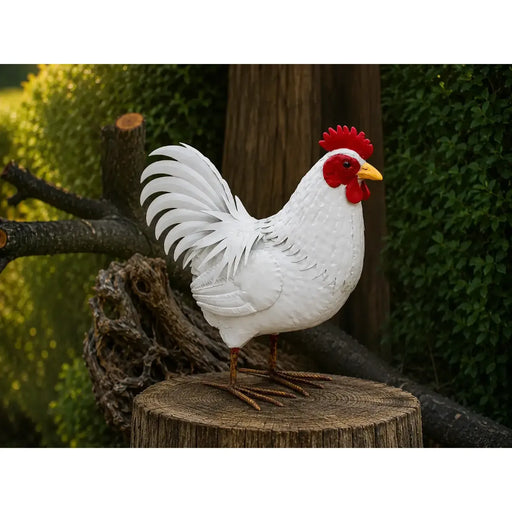 Poule (4) — MD19157