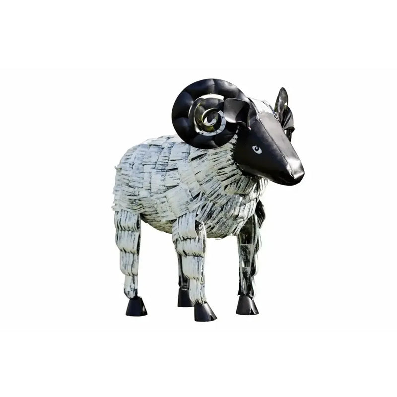 Mouton (6) — MD19223