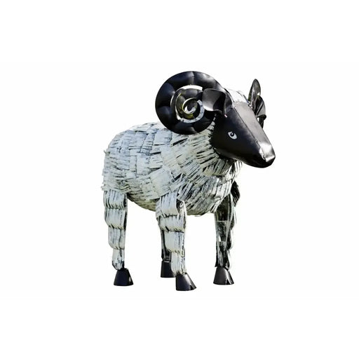 Mouton (6) — MD19223
