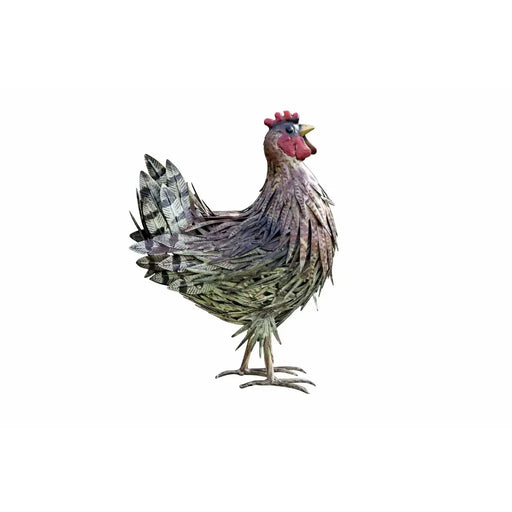 Poule (4) — MD19779