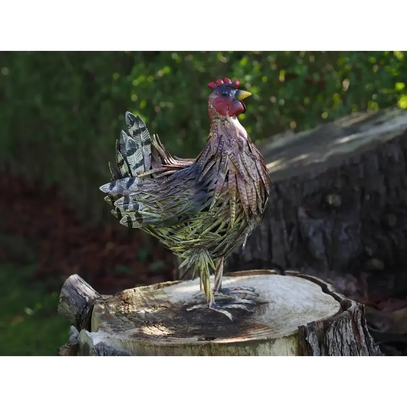 Poule (4) — MD19779