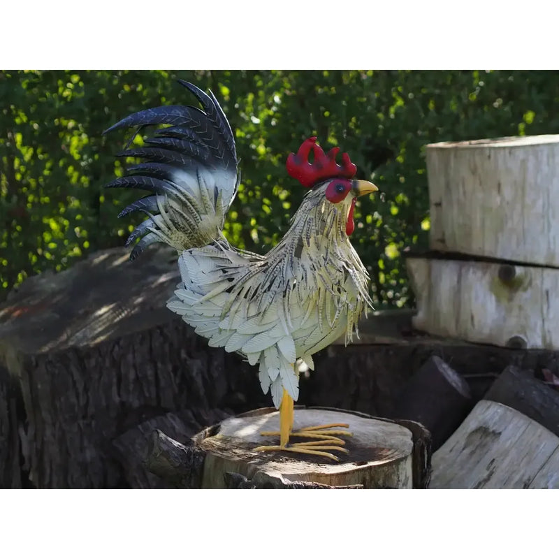 Coq (4) — MD19780
