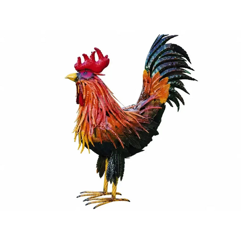 Coq (2) — MD19782