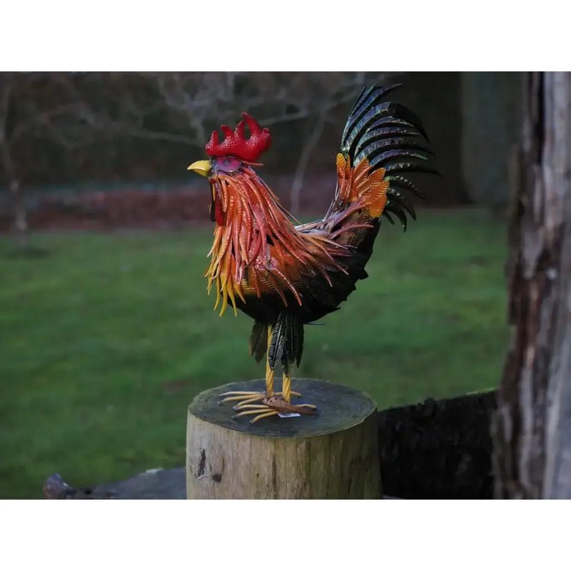 Coq (2) — MD19782