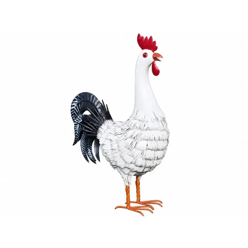Coq (4) — MD19784