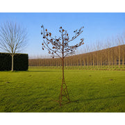 Arbre - Un supplément pour les frais de livraison peut s’appliquer ! — MD60009