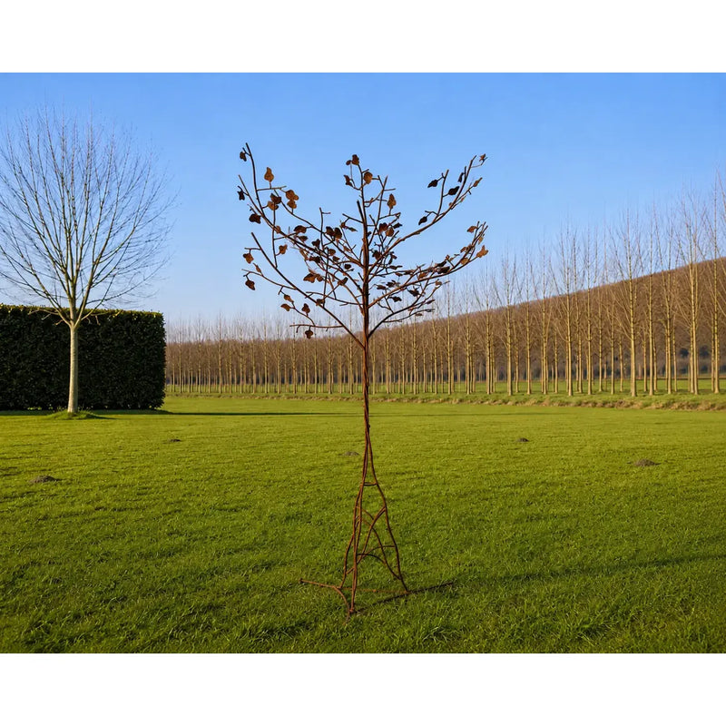 Arbre - Un supplément pour les frais de livraison peut s’appliquer ! — MD60009