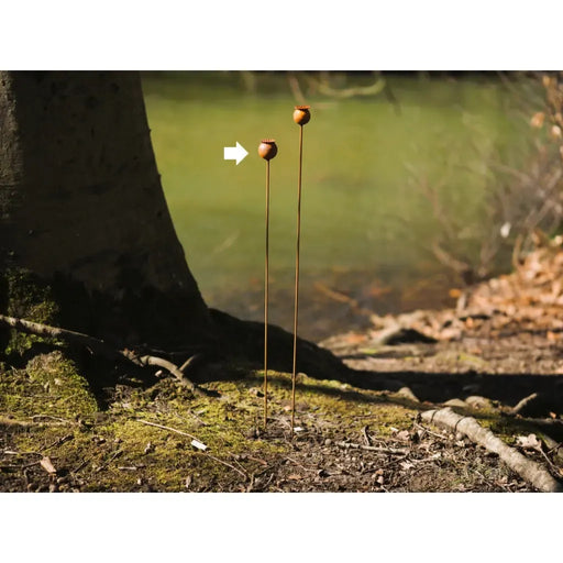 Ecorouille Coquelicot 3,5 cm (12) — MD70013