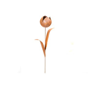 Ecorouille Rose Pivoine (2) — MD70027