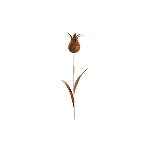 Ecorouille Tulipe Sauvage (4) — MD70036