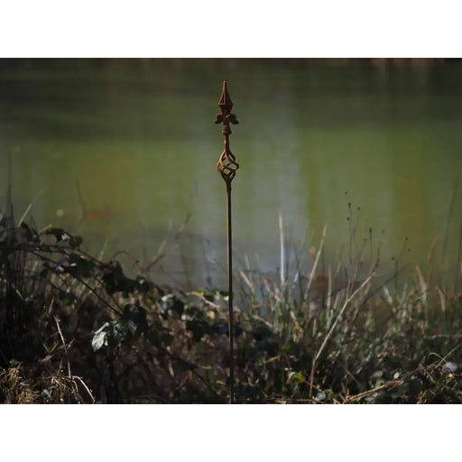 Ecorouille Guide de Plante (4) — MD70038