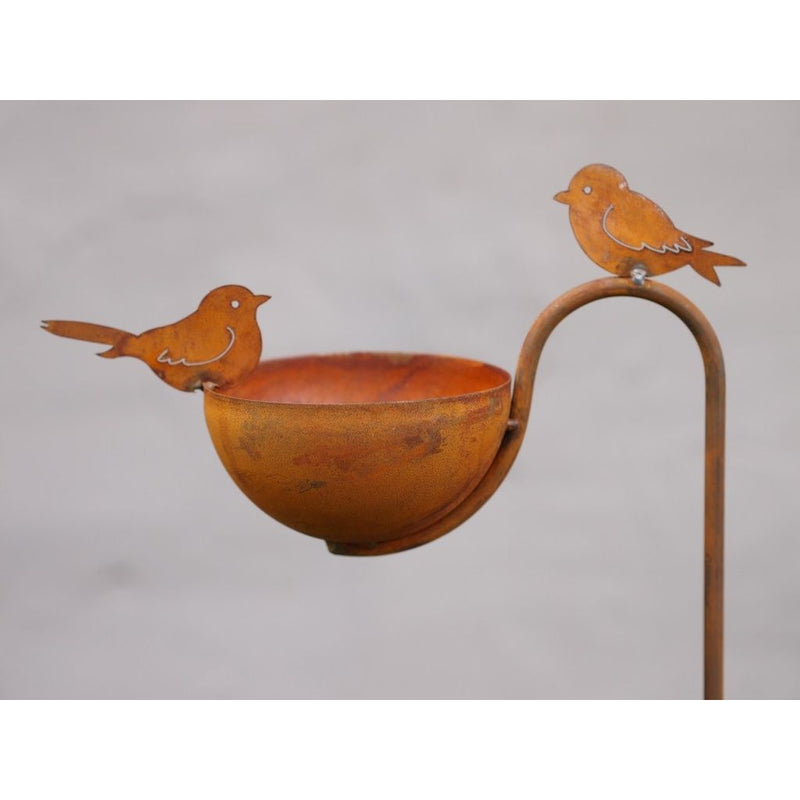 Bain d’oiseaux avec oiseaux Écorouille — MD70092