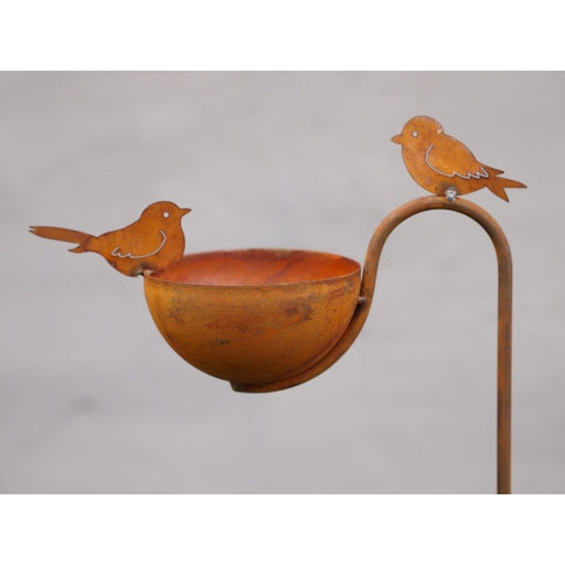 Bain d’oiseaux avec oiseaux Écorouille — MD70092