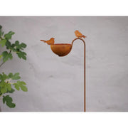 Bain d’oiseaux avec oiseaux Écorouille — MD70092