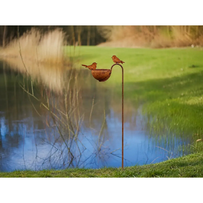 Bain d’oiseaux avec oiseaux Écorouille — MD70092