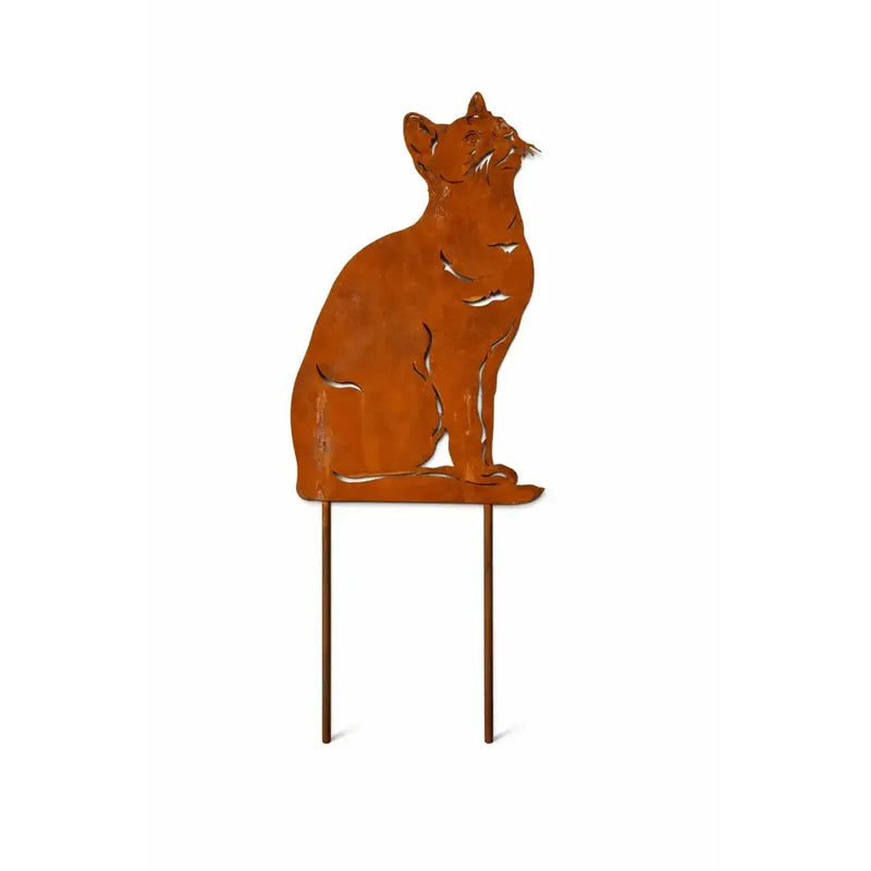 Chat regardant vers le haut (6) — MD70097